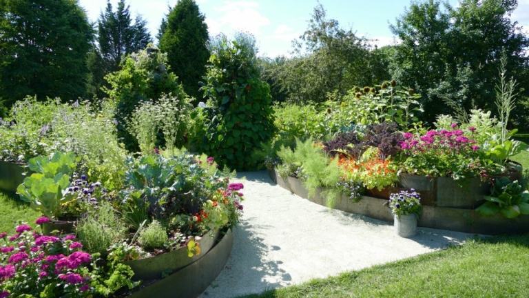 Foodscaping nápad s jedlými kvetmi pre krásne farebné akcenty