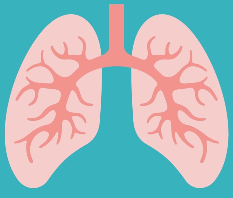 Odborníci odporúčajú obmedziť beh s respirátorom