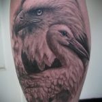 A gólya tetoválás hűvös változata elkészült - a rajz alkalmas gólya tetováláshoz babával