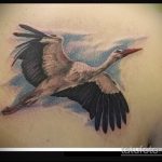 A meglévő gólya tetoválás eredeti változata - a rajz alkalmas a daru és a sakura tetováláshoz