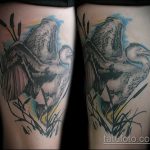 A meglévő gólya tetoválás hűvös változata - a rajz alkalmas gólya tetováláshoz a csuklón