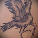 A gólya tetoválás menő változata elkészült - a rajz alkalmas egy marabou gólya tetováláshoz