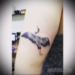 A meglévő gólya tetoválás hűvös változata - a rajz alkalmas gólyatetováláshoz a lábán