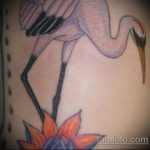 A meglévő gólya tetoválás hűvös változata - a rajz alkalmas a férfiak gólya tetoválásához