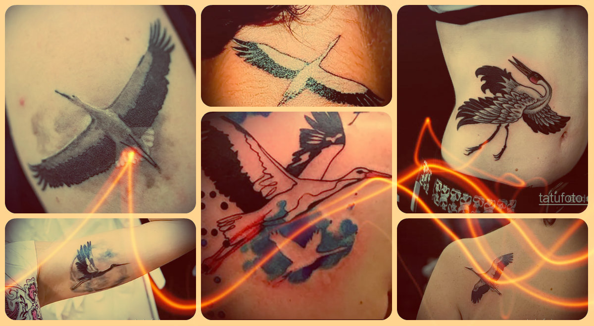 Fotó a gólya tetoválásról - érdekes rajzok a kiválasztáshoz