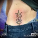Važeća verzija primijenjene tetovaže ananasa - crtež je prikladan za tetovaže ananasa