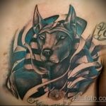 Egy érdekes példa az alkalmazott tetoválásra Anubis - a rajz alkalmas az egyiptomi istenek, Anubis tetoválására