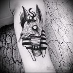 A tetovált Anubis érdekes változata - a rajz alkalmas Anubis isten tetoválására