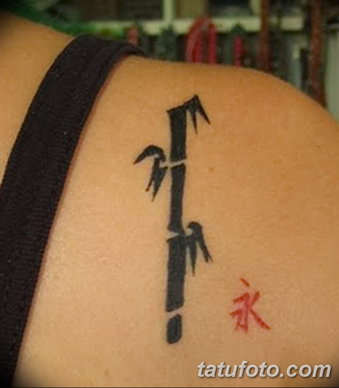 foto af en bambus tatovering dateret 18/10/2017 №022 - tatovering bambus -