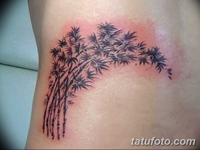 foto af en bambus tatovering dateret 18/10/2017 №040 - tatovering bambus -