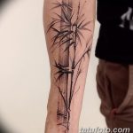 foto af bambus tatovering dateret 18/10/2017 №001 - tatovering bambus -