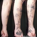 foto af en bambus tatovering dateret 18/10/2017 №005 - tatovering bambus -