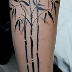 foto af en bambus tatovering dateret 18/10/2017 №006 - tatovering bambus -