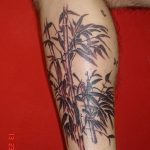 foto af en bambus tatovering dateret 18/10/2017 №032 - tatovering bambus -