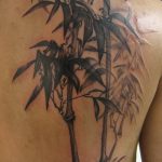 foto af en bambus tatovering dateret 18/10/2017 №039 - tatovering bambus -