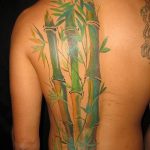 foto af en bambus tatovering dateret 18/10/2017 №048 - tatovering bambus -