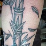 foto af en bambus tatovering dateret 18/10/2017 №072 - tatovering bambus -