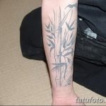 foto af en bambus tatovering dateret 18/10/2017 №084 - tatovering bambus -