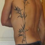foto af en bambus tatovering dateret 18/10/2017 №089 - tatovering bambus -