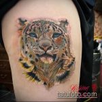 fotó a leopárd tetoválásról # 419 - a minta hűvös változata, amely könnyen használható átalakítására és leopárd tetoválásként történő alkalmazására a gyomorban