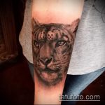 fotó a leopárd tetoválásról # 648 - a minta hűvös változata, amely sikeresen használható a vállon leopárdtetoválás alakítására és alkalmazására