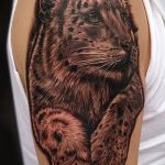 fotó a leopárd tetoválásról # 955 - a minta egyedi változata, amely jól használható átalakítására és leopárdtetoválásként történő alkalmazására a lapockán