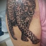 fotó a leopárdtetoválásról # 107 - a minta hűvös változata, amely sikeresen használható változtatásra és leopárdtetoválásként a lapockára