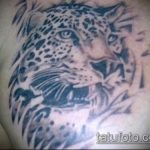 fotó a 205 számú leopárd tetoválásról - a rajz exkluzív változata, amely sikeresen használható felülvizsgálatra és leopárd tetoválásként történő alkalmazásra a csuklón