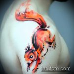 A mókus kivitelezett tetoválásának eredeti változata - a rajz alkalmas a mókus sündisznó béka tetoválásának fényképére