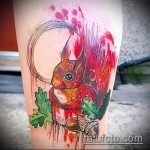 Jó példa a tetovált mókusra - a rajz alkalmas egy jégkorszaki mókustetováláshoz