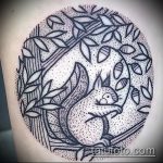 A mókus meglévő tetoválásának hűvös változata - a rajz alkalmas a tetováló mókus taxiban való fényképezésére