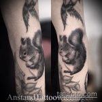 Egy jó példa egy meglévő mókus tetoválás - a rajz alkalmas a fotó egy tetoválás mókus kattint dió