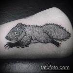 A kész mókus tetoválás hűvös változata - a rajz alkalmas a kerékben lévő mókus tetoválására