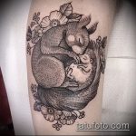 A mókus tetoválásának érdekes változata - a rajz alkalmas egy mókus tetoválására a kerékben