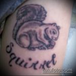 A meglévő mókus tetoválás hűvös változata - a rajz alkalmas egy mókus sündisznó béka tetoválás fényképéhez