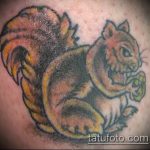 Egy teszt példa egy kész mókus tetoválásra - a rajz alkalmas a tetováló mókus taxiban való fotózására