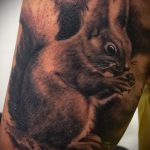 Jó példa a tetovált mókusra - a rajz alkalmas tetováló mókus akvarellre