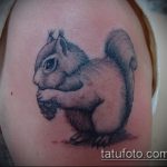 A mókus kivitelezett tetoválásának egyedi változata - a rajz alkalmas egy mókus tetoválására a kerékben