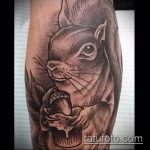 Egy egyedi példa a kész mókustetoválásra - a rajz alkalmas jégkorszaki mókustetoválásra