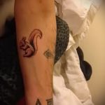 A mókus elkészült tetoválásának érvényes változata - a rajz alkalmas a mókus tetoválásáról készült fényképre