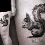 Érvényes példa a kész mókustetoválásra - a rajz alkalmas jégkorszaki mókustetoválásra