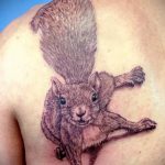 A mókus tetoválásának hűvös változata - a rajz alkalmas a tetováló mókus taxiban való fotózására