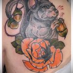 A mókus alkalmazott tetoválásának tesztverziója - a rajz alkalmas a mókus akvarell tetoválására