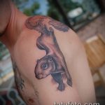 Egy jó példa a kész mókus tetoválás - a rajz alkalmas egy fényképet egy tetoválás mókus kattint dió