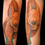 Érvényes példa a mókus elkészült tetoválására - a rajz alkalmas a mókus tetoválására a kerékben