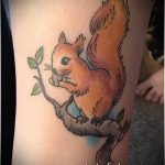 Érdekes példa a mókus alkalmazott tetoválására - a rajz alkalmas a mókus tetoválásáról készült fényképre