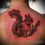 Eredeti példa a mókus alkalmazott tetoválására - a rajz alkalmas a mókus sündisznó béka tetoválásának fényképére