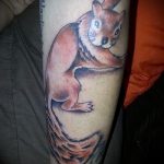 A meglévő mókus tetoválás érvényes változata - a rajz alkalmas akvarell mókus tetoválásra