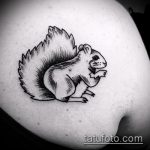 A mókus tetoválásának egyedi változata - a rajz alkalmas egy mókus tetoválására a kerékben