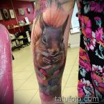 A mókus elkészült tetoválásának érvényes változata - a rajz alkalmas a mókus és a nyíl tetoválásának fényképére